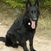 Jake