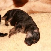 img_1351_edited-custom