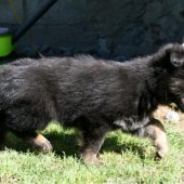 img_2712_edited-custom