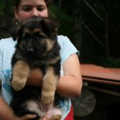 img_3002-custom