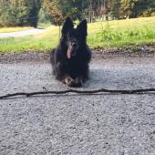 Jarka