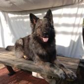 Max