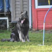 Max
