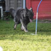 Max