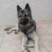 IMG-20220906-WA0002