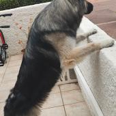IMG_20230920_084550