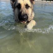 Taïka