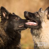 WG Photographies 2016-37
