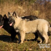 WG Photographies 2016-42