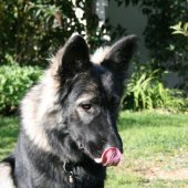 img_3873