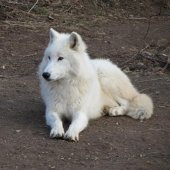 img_3621-custom