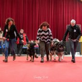 1_20230304_NE-Mouroux_2048_160.res_