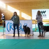 8U8A9140-copie