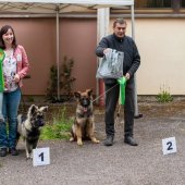Podium_1M-2
