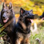 1_A89A0487 1_A89A0487