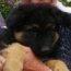 /jacy-et-merlin/glamour-mirza /jacy-et-merlin/glamour-mirza