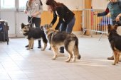 IMG_0296