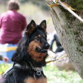 img_8410-custom
