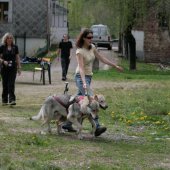 img_8549-custom