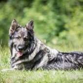 WG Photographies-4
