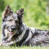 WG Photographies-5