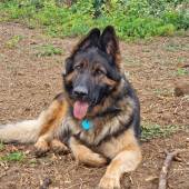 506708664_10236479691433204_6857877910481847586_n