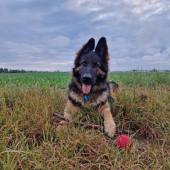 508170058_10236479689753162_6700720007041747199_n