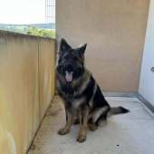 514099544_10238705205077597_5397506882784310039_n