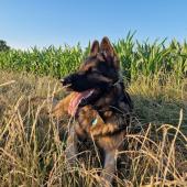 514363057_10236760281447779_8655994992946889234_n