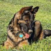 559670024_10238318978734237_3058770492492560475_n