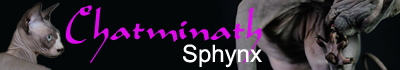 Chatminath - Elevage de Sphynx