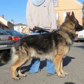 img_1470_edited-custom