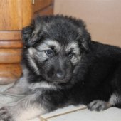 img_1706-custom
