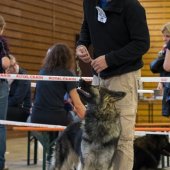 NE-Oberhaslach-2016-317