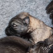 IMG_9336