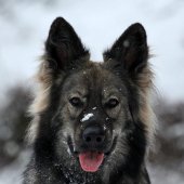 Alaska
