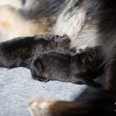 IMG_3239