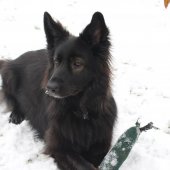 Snow