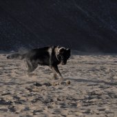 DSC_0211