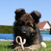 Meika