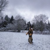 IMG_20190121_130417-01