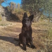 lorca