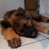 thumbnail_20170728_183015_001