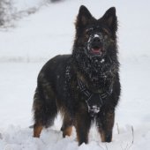 thumbnail_IMG_0513