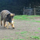 thumbnail_IMG_0866