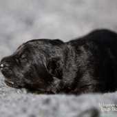 WG Photographies 2017-15