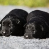 WG Photographies 2017-31