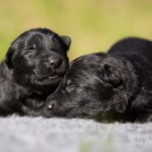 WG Photographies 2017-33