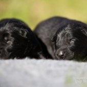 WG Photographies 2017-35