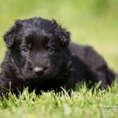 WG Photographies 2017-27